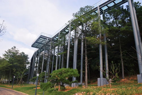 常州本土超大型企业拓展训练首选 露营谷基地与其专业服务解析
